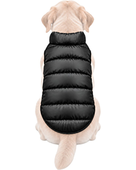 Gepolsterte Steppjacke für Hunde bedrucken lassen